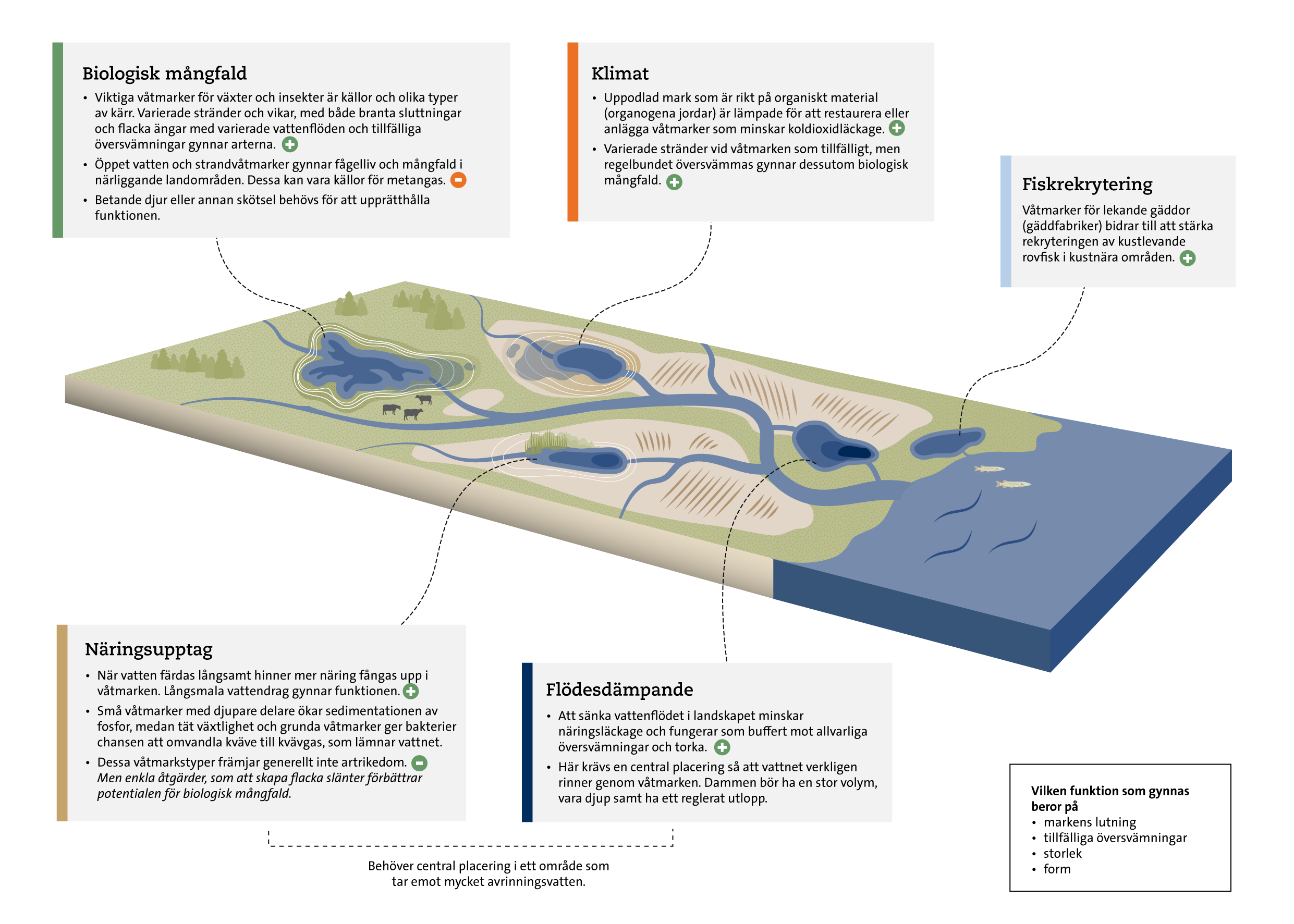 Wetlands